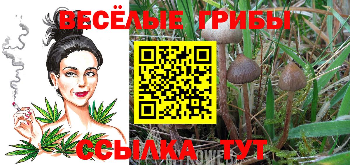 Псилоцибиновые грибы прущие грибы  даркнет сайт  Лабытнанги  Вход с VPN 